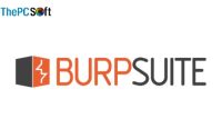 Burp Suite Pro free download-ink